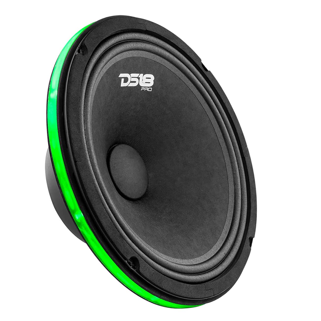 DS18 10-inch LED RGB Speaker Ring with Dynamic Lighting Effects