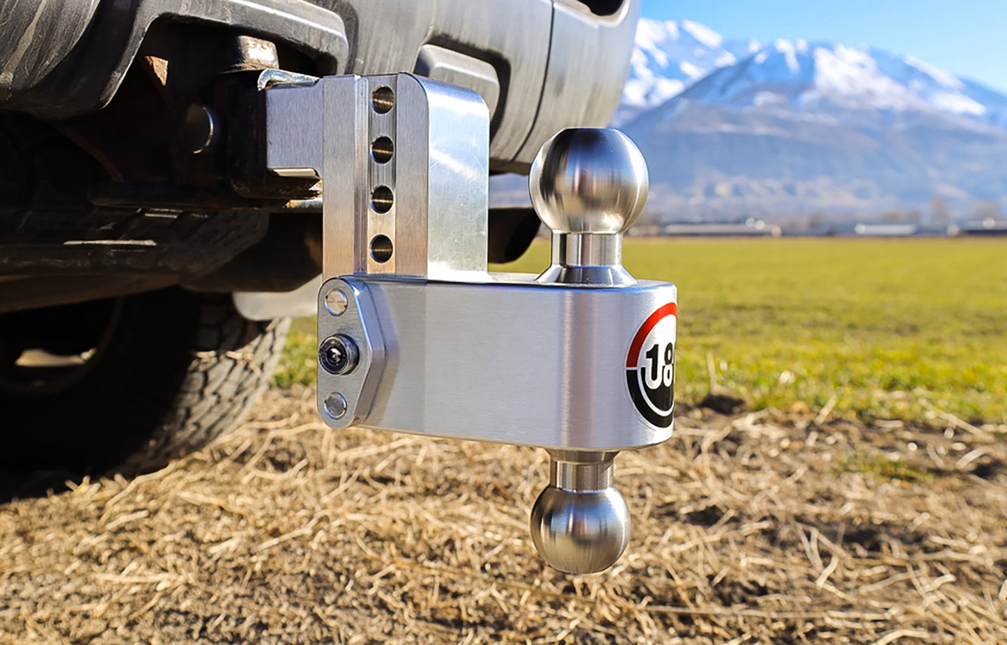 Weigh Safe - LTB4-2 - Trailer Hitch - 180 Hitch Stainless Steel Ball 4" Drop Hitch with 2" Shank - P/N: LTB4-2