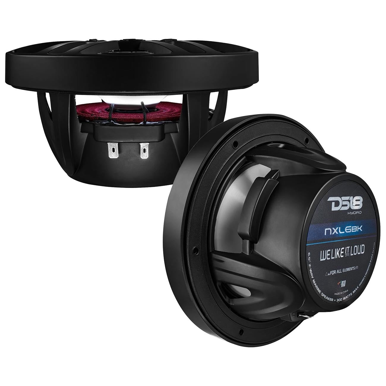 DS18 Marine 6.5-inch 2-Way Speaker with RGB LED Illumination - Black