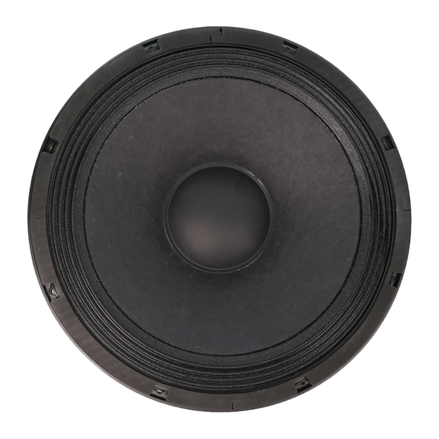 Beyma Car Audio Speaker - PRO12WFE