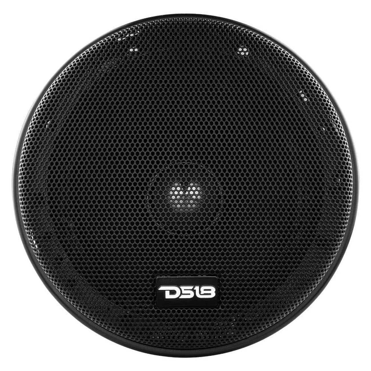 DS18 Pro R6NEO 6.5-Inch Midrange Speaker with 225W RMS Power Handling