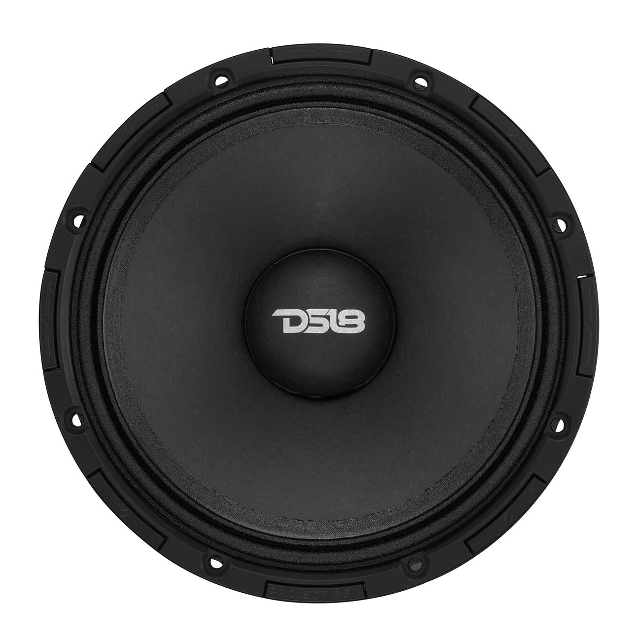 DS18 6.5-inch Neodymium Magnet Mid-High Loudspeaker (Model PROJECT36064NEO)