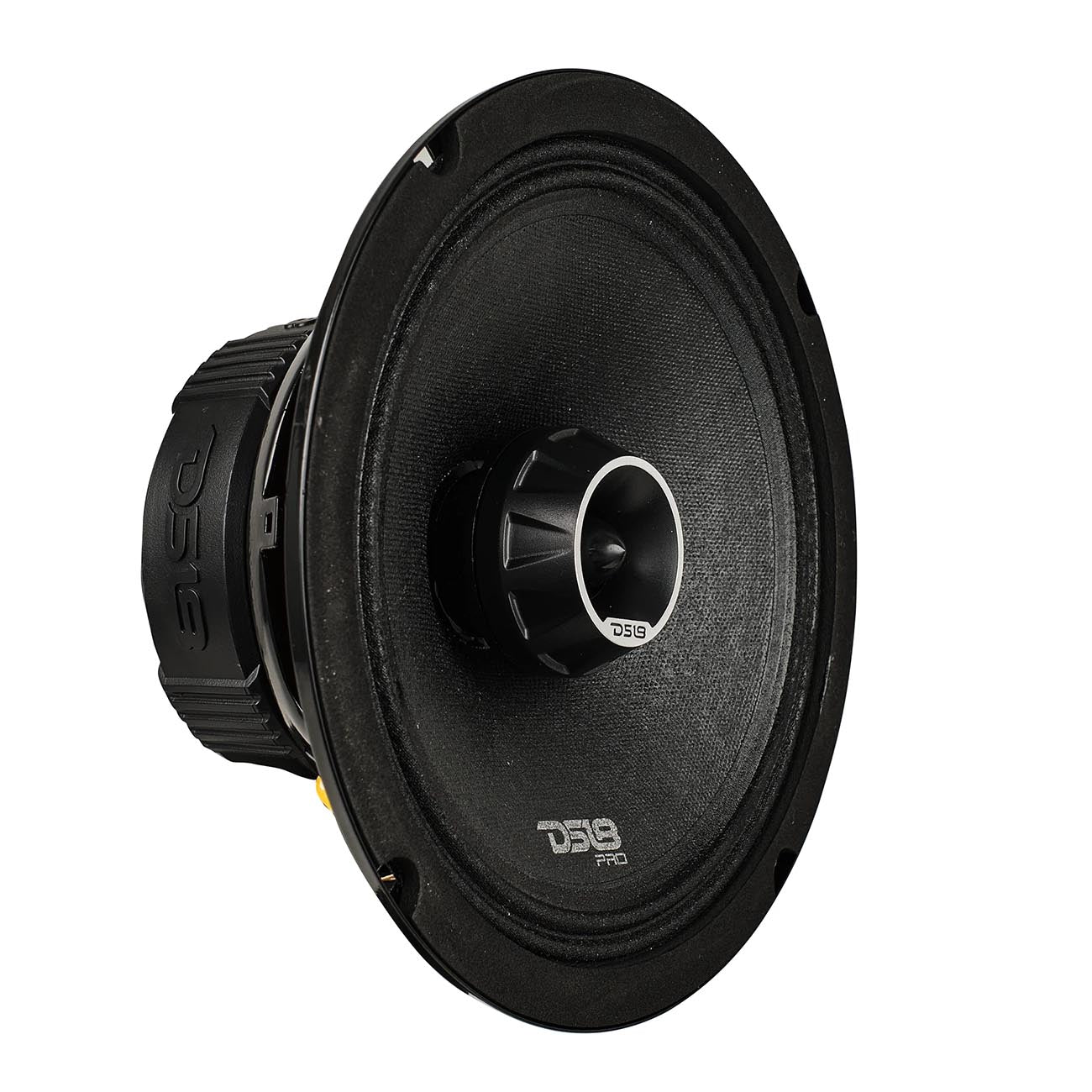 DS18 PROZT8 8-Inch 2-Way Midrange Speaker with 275W RMS Power - 4 Ohm