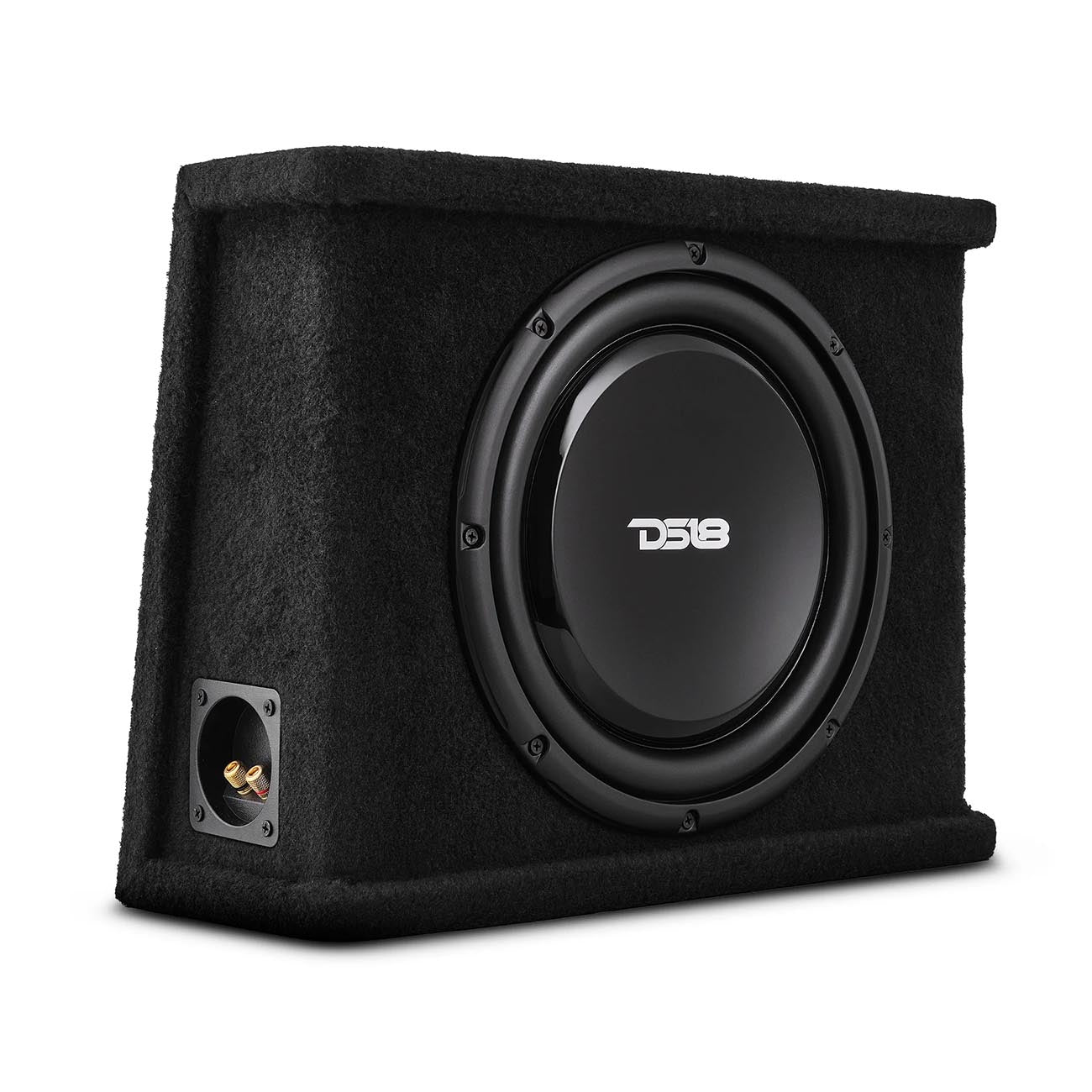 DS18 SB12 Single 12-Inch Passive Shallow Woofer Sealed Enclosure – 350 Watts RMS