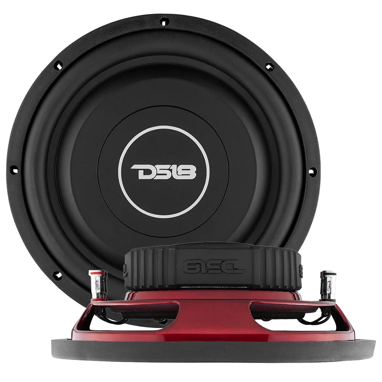 DS18 SRW104D 10-Inch Shallow Mount Subwoofer with 200W RMS Power