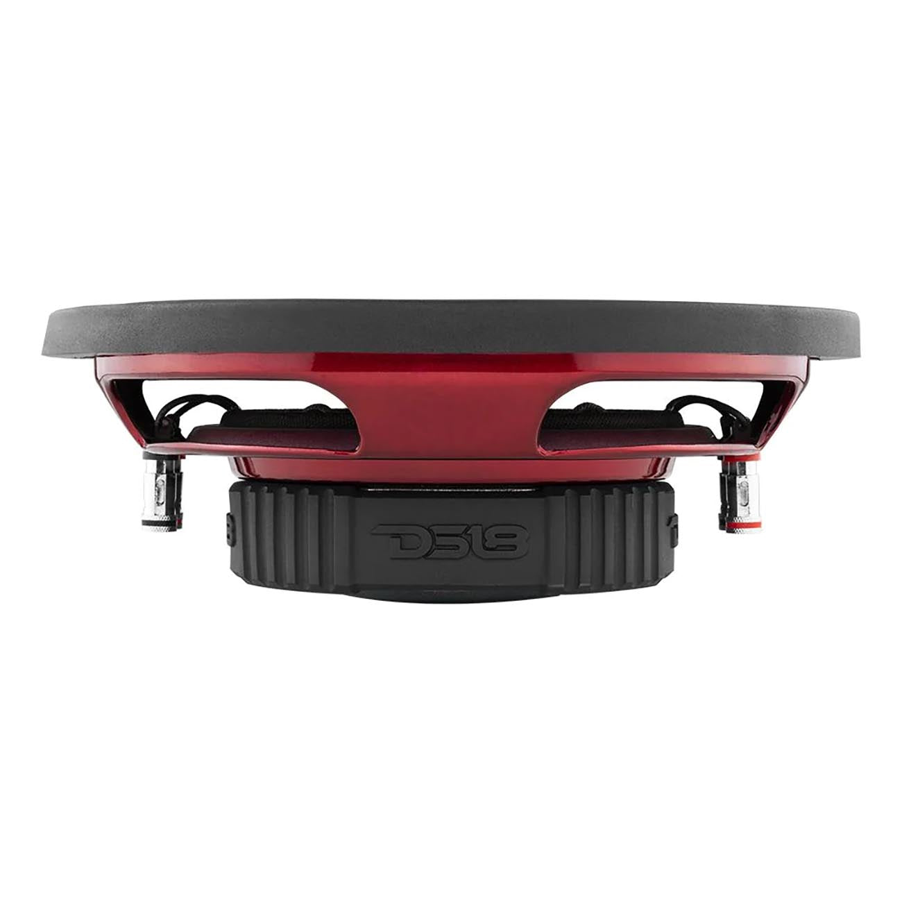 DS18 SRW104D 10-Inch Shallow Mount Subwoofer with 200W RMS Power