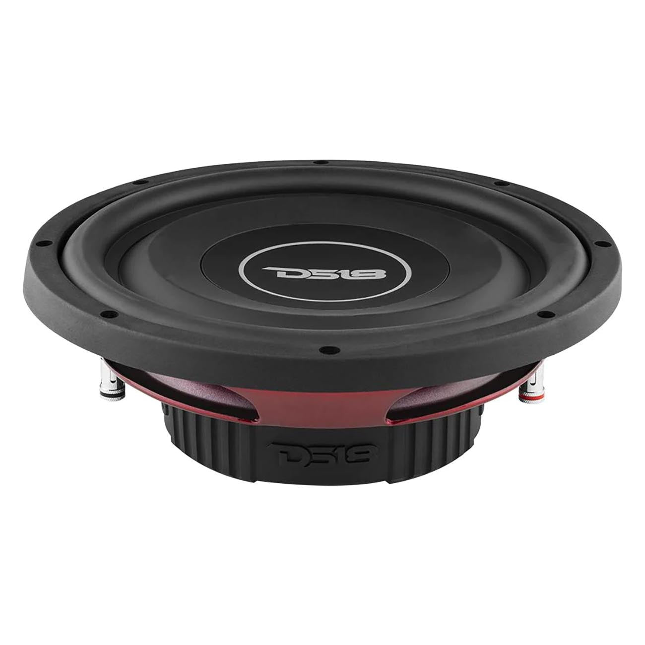 DS18 SRW104D 10-Inch Shallow Mount Subwoofer with 200W RMS Power