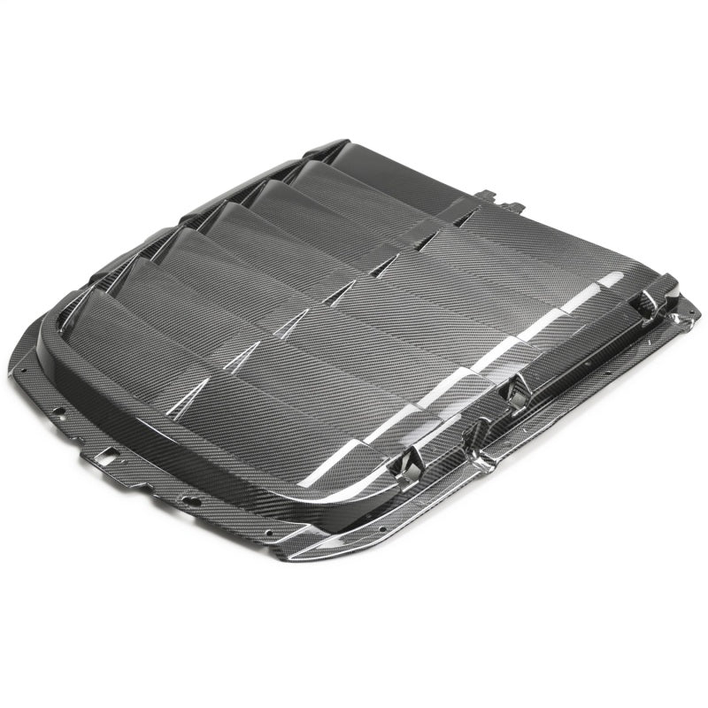 Ford Racing frpM-16612-C20 Carbon Fiber Hood Vent Kit for 2020–2022 Ford Mustang GT500