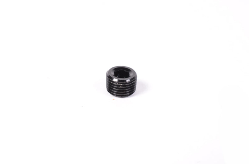 Radium Engineering - RAD14-0172 - 1/8 in NPT Plug