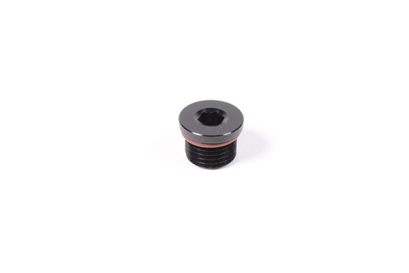 Radium Engineering RAD14-0149 6AN ORB Plug