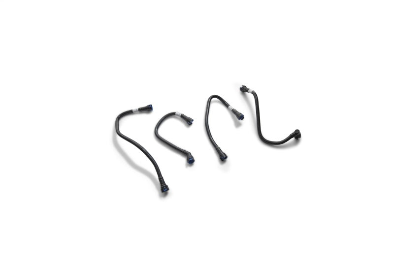 Ford Racing frpM-6766-A23D Dual Air/Oil Separator Kit for 2024–2025 Ford Mustang 2.3L EcoBoost