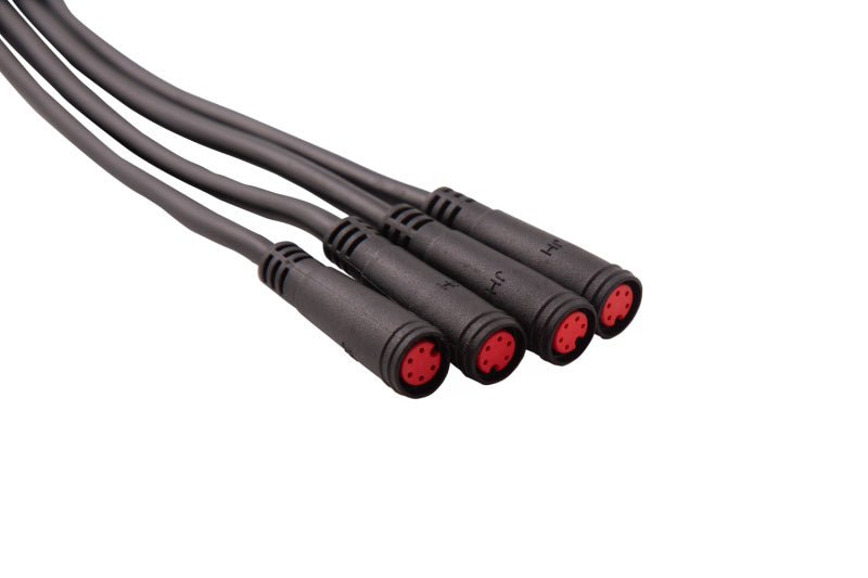 Diode Dynamics RGBW M8 5-Pin 2-Way Splitter Wire, Part Number DD4141
