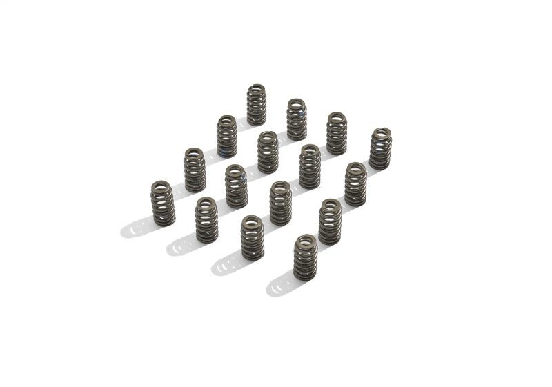 Ford Racing - frpM-6513-M50BR - BOSS 302R Valve Spring Kit