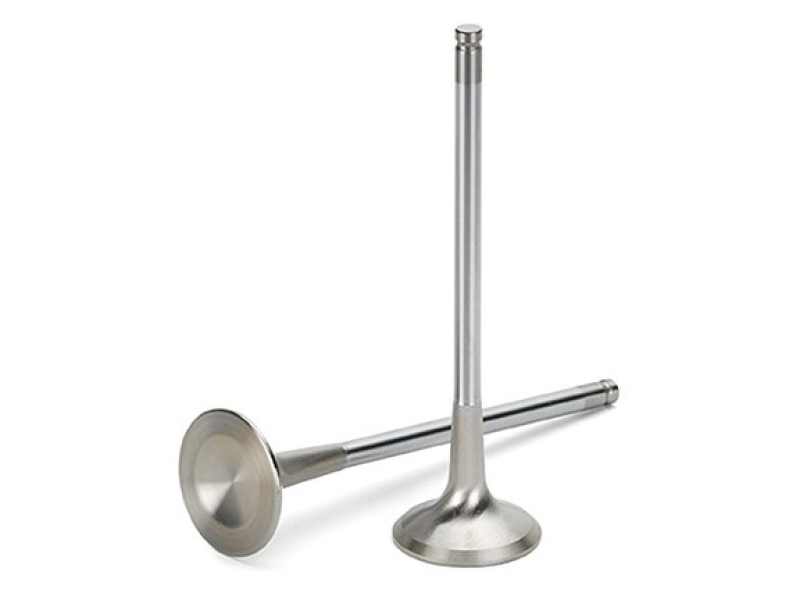 SPT Exhaust Valves