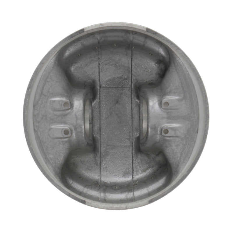 ProX Piston Kit Rapt/Griz 660 1.00