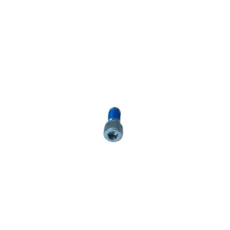 S&S Cycle Backplate Screw 1/4in-20 x 1/2in - Each