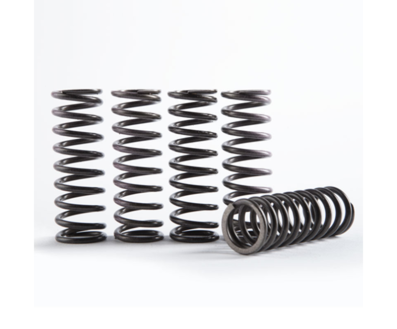 Hinson Clutch Clt Sprn Kt High Tmp St 5