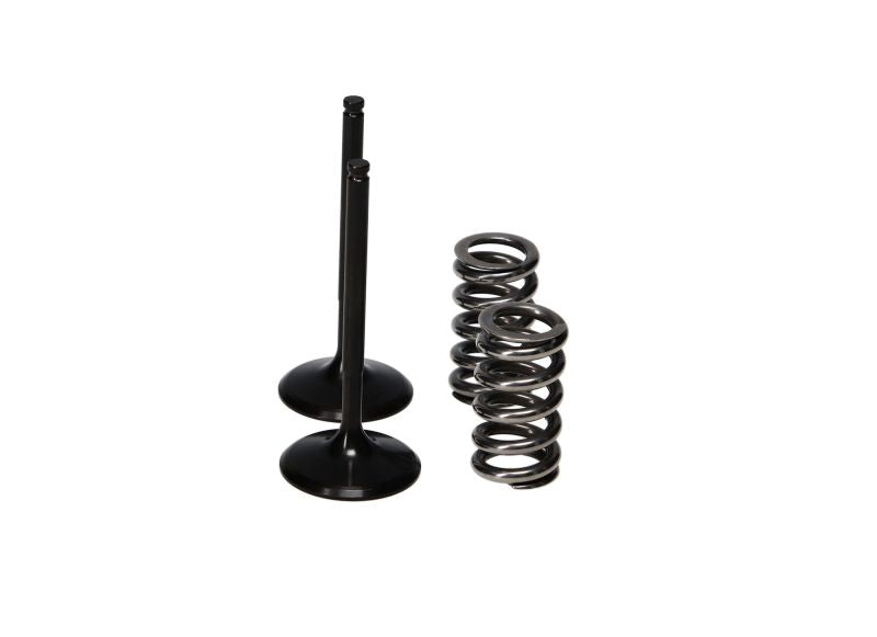 ProX Steel Int Valve/Spring Kit