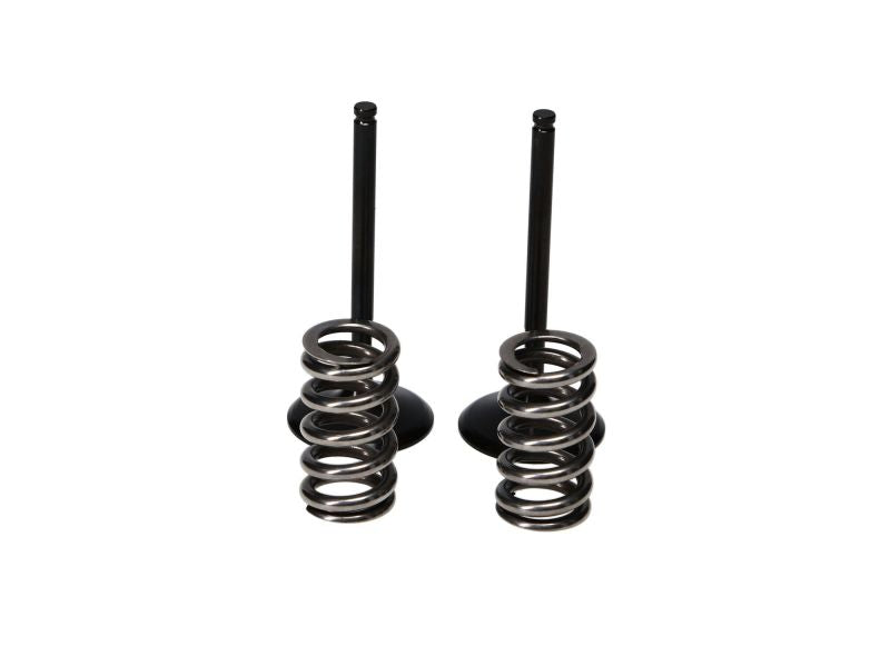 ProX Steel Int Valve/Spring Kit