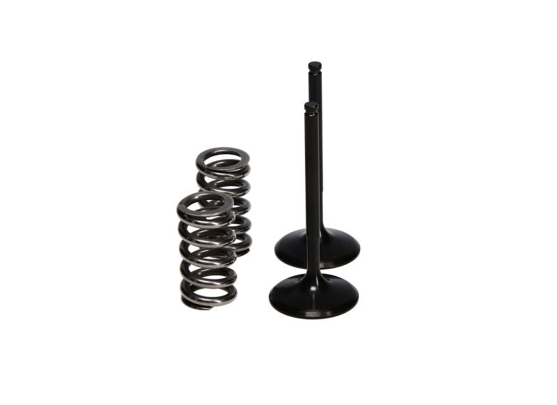 ProX Steel Int Valve/Spring Kit
