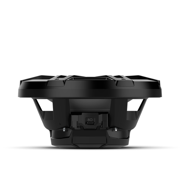 Rockford Fosgate M1 12inch Subwoofer